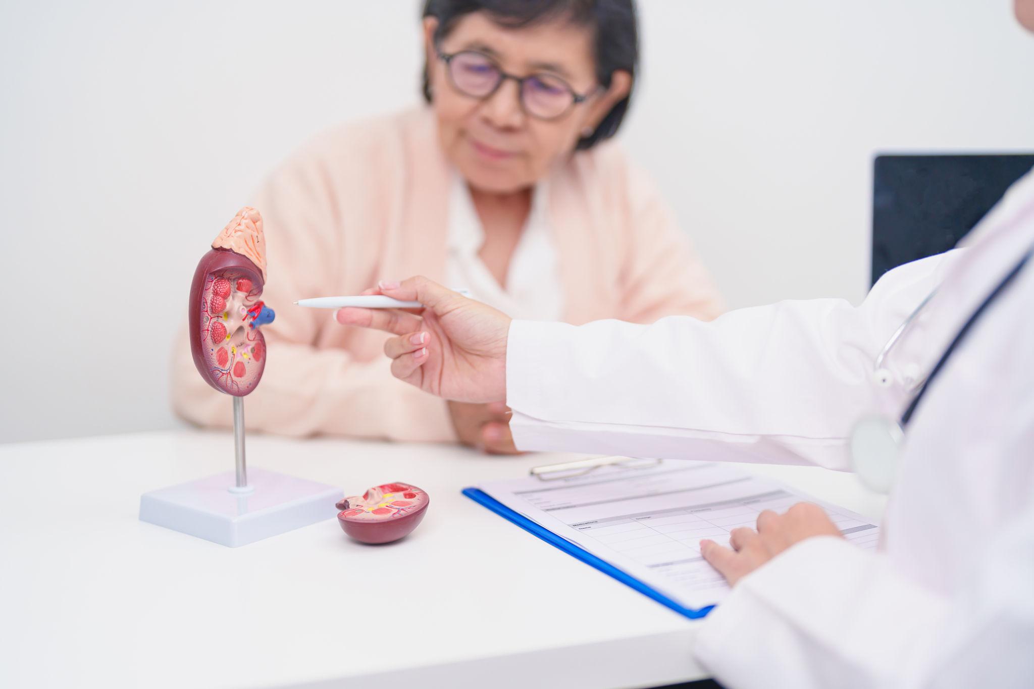 Nephrology